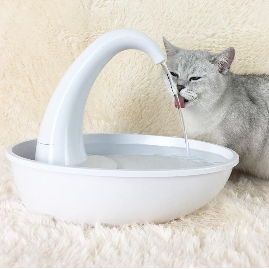 Automatic Water Dispensing Pet Drinking Bowl