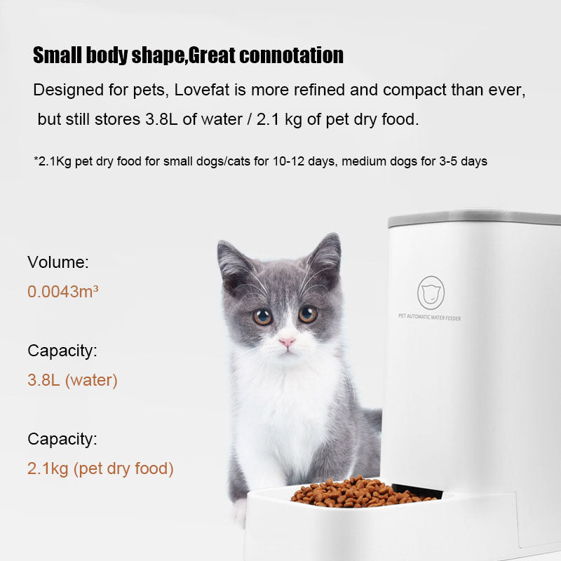 Automatic Pet Drinking & Water Feeder With Detachable Bowl